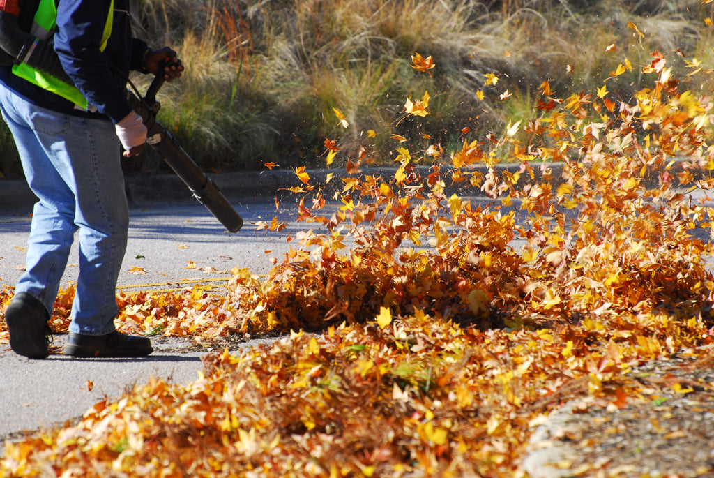Leaf blowing in the fall